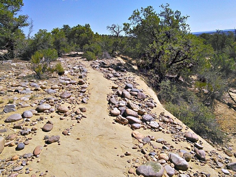 Occasional sections follow along the rim.