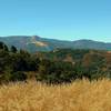 Mt. Umunhum of the Santa Cruz Mountains, in the distance (left center) when looking west from Bald Peaks Trail.