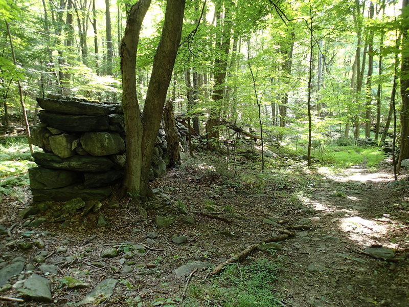 Old stone wall along the East Mountain Loop Trail