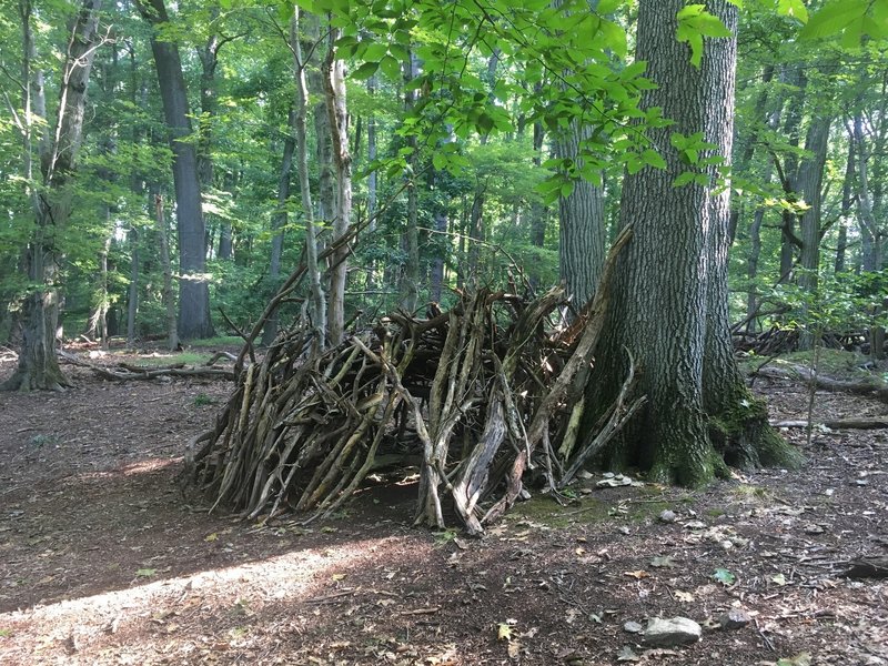 Primitive shelter building practice (by others)
