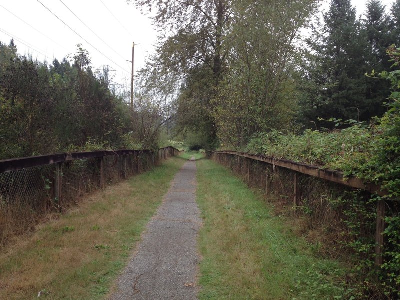 Puget Power Powerline Trail Hiking Trail, Redmond, Washington