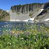 Looking across Iceberg Lake at the last remaining bit of a snow field. Wildflowers in full bloom on September 1.