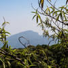 Doi Inthanon, the highest point in Thailand, peeking through the foliage.