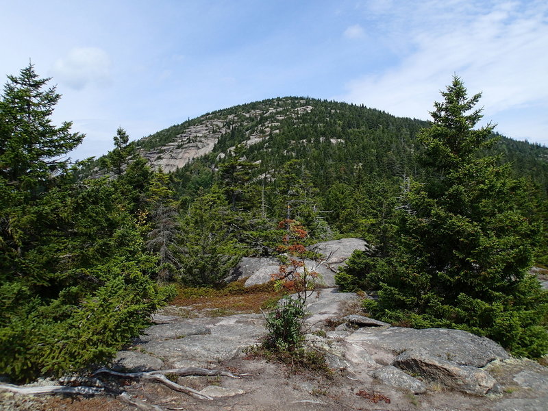 View of Catamount summit from top of the false summit.