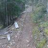 Sweet singletrack - Great Flume Trail.