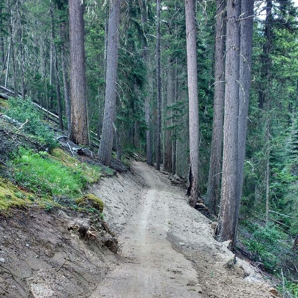 Section of groomed trail on north leg of route.