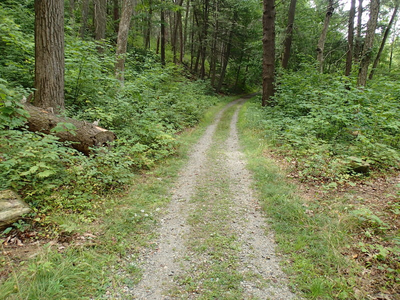 Roaring Brook Trail