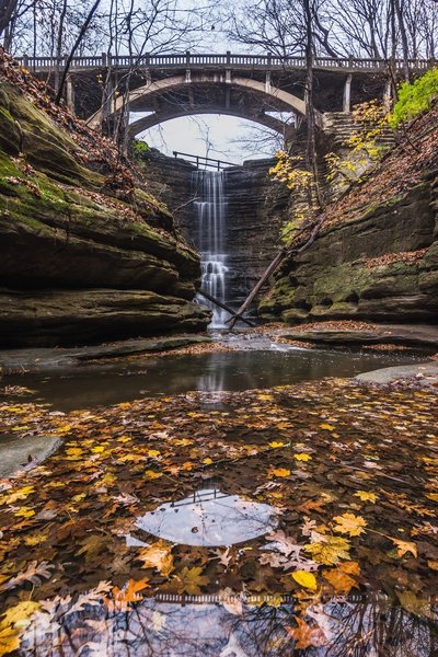 are dogs allowed at matthiessen state park