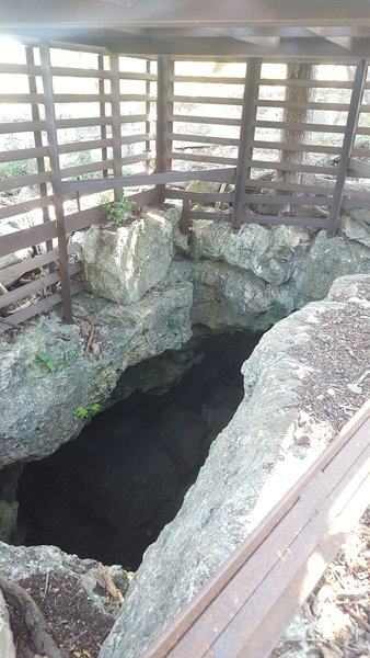 Looking through the protective grating into the depths on Bear Cave.