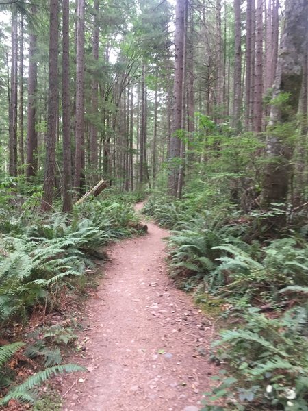 The trail does have a few flatter sections where you can recover!