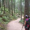 West Tiger #3 is a wide, well-maintained trail that is good for coming back down after the Cable Line.