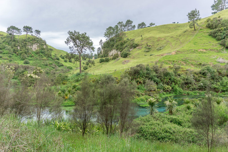 Te Waihou Walkway Hiking Trail, Matamata, New Zealand