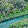 The blue waters of the Waihou River.