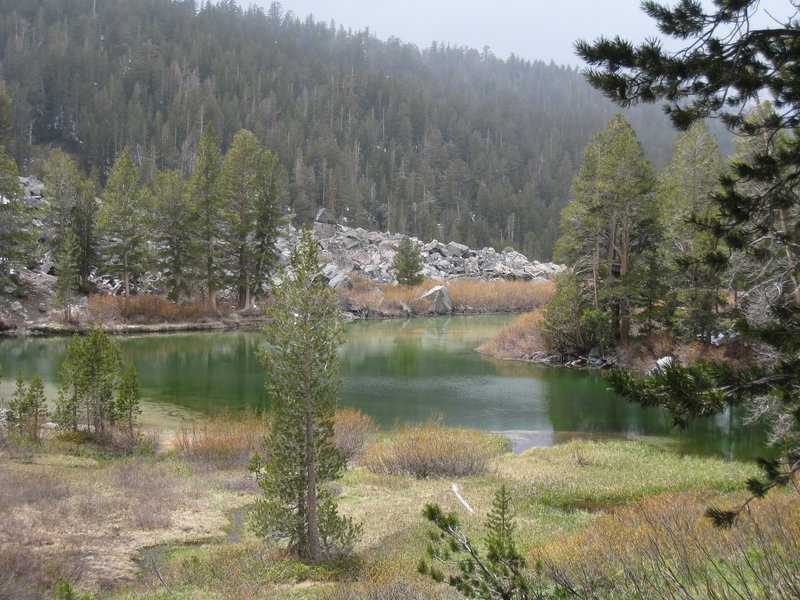 Emerald Lake meadow.
