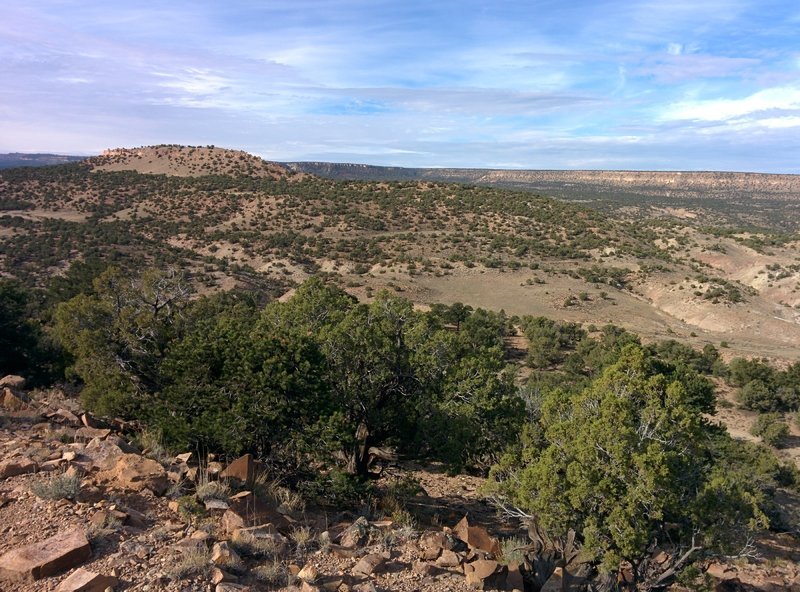 Looking west at Coyote Ridge