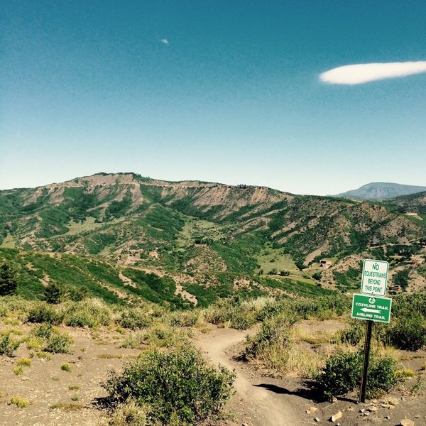 Top of Airline Trail straddling Snowmass and Aspen - the look toward Snowmass. July 6.