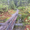 There are some boardwalks over bogs that are badly in need of repair.