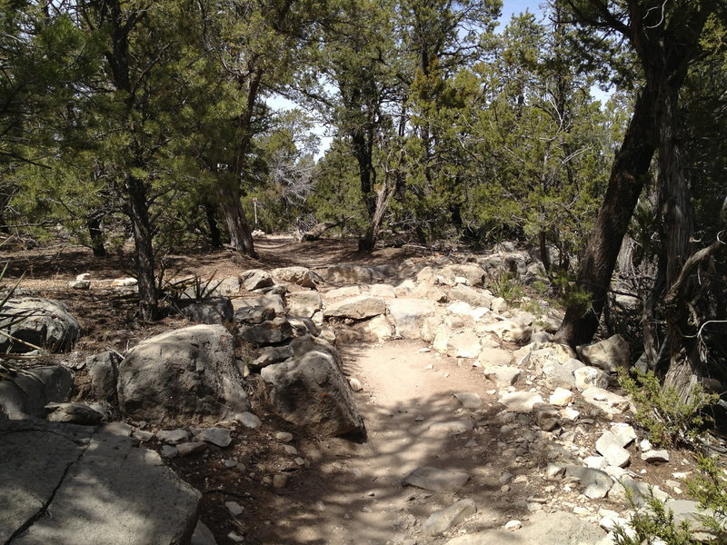 Rocky section before the junction with the West Ridge Trail.
