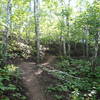 Amity East Trail