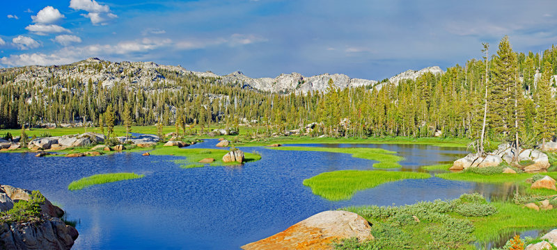 Spring Meadow Lake with Granite Dome in the center background