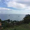 Views of the Ligurian Sea, and the many yachts and cruise ships in it, abound along this hike.