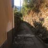 The start of the trail near Camogli is paved and walled.