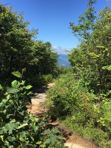 black cap hiking trail nh