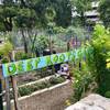 Deep Roots Garden along the Lower Shoal Creek Trail. Open to everyone... nice benches and shade for snack/lunch.  Right by the REI store parking lot in downtown Austin (nice spot to park to do this trail)