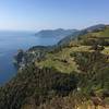 Beautiful views of terraced vineyards, Corniglia, and the sea!