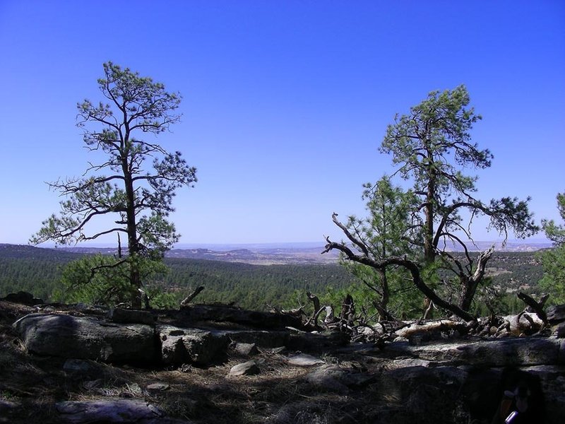 View from Purple Haze viewpoint with the Gallup Hogback and the Chuska Mountains in the distance.