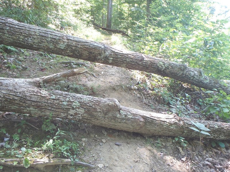 There are some obstacles on the Peninsula Trail