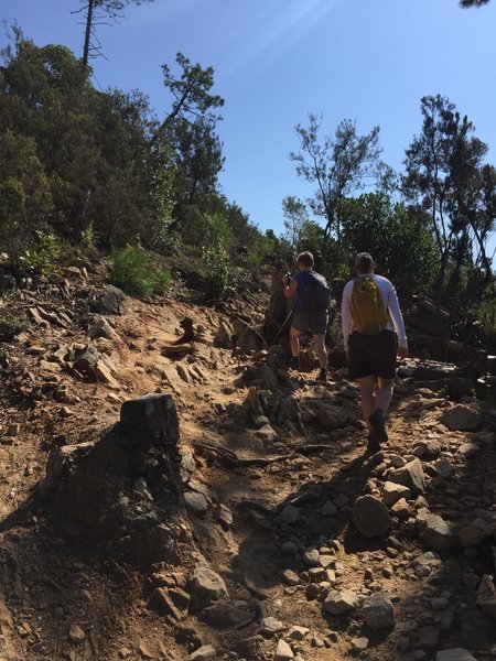 The trail can be quite rocky (both loose and solid rock), so use caution.