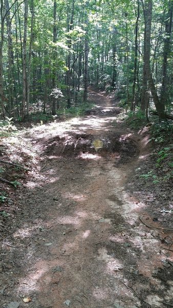 Turkey Knob Road has a number of low spots that fill with mud even a week after rain.