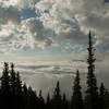 Emerging from treeline to a horizon of clouds.