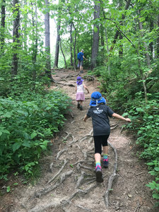 Findley State Park Trail Map Hiking Trails Near Findley State Park