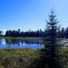 Canada Goose Pond, Wilderness State Park, Michigan