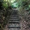 Some of the steps that are prevalent on Japanese hiking trails.
