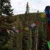 A previous visitor hung up Prayer flags at the end of True Romance, creating a nice scene.
