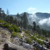 Big Cienega Trail looking east towards Hawkins Ridge