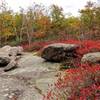 Vibrant Autumn reds alongside some glacial erratics in Norvin Green State Forest