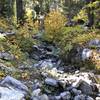 Fall on Canyon Creek Trail in Marble Mountain Wilderness.
