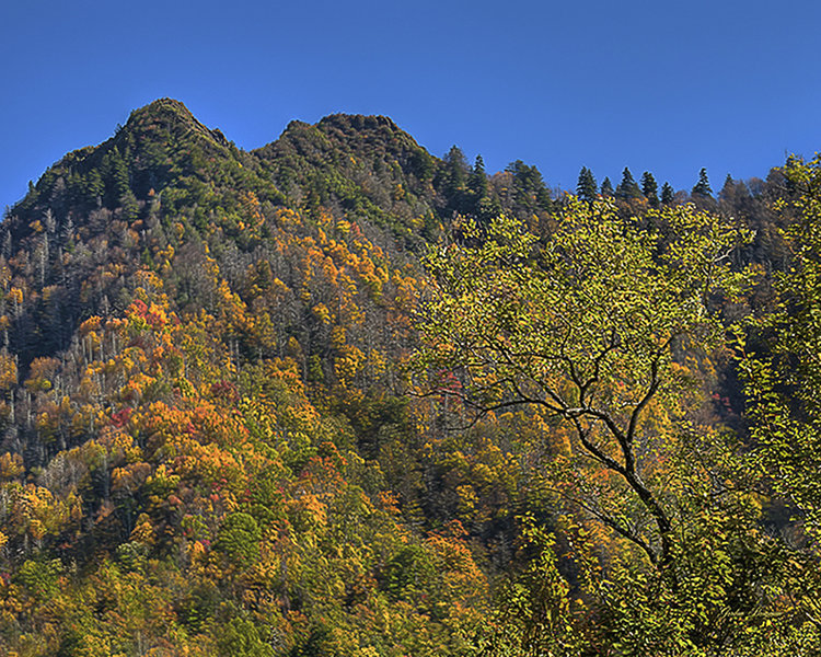 The Chimney Tops from an earlier Fall, before the recent wildfires stripped the vegetation from the peaks in 2016.