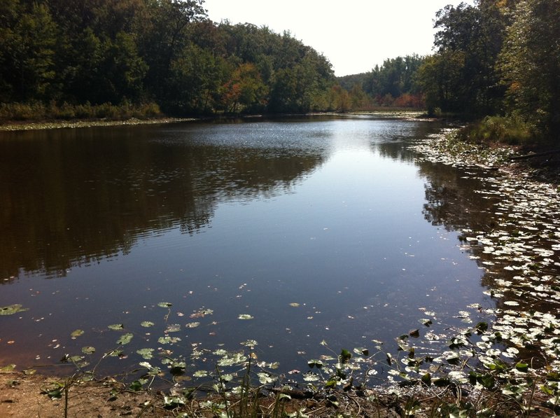 Cedarville State Forest pond.