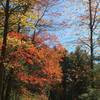 Beautiful fall colors on the trail