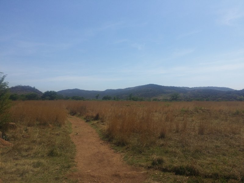A view from the western path of the Klipriviersberg Nature Reserve