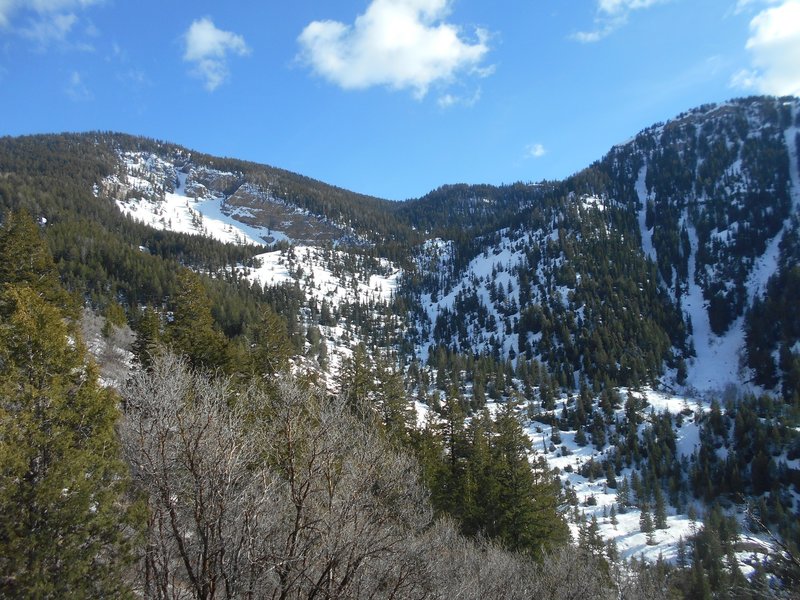 A view on Spring Hollow in early spring 2017.