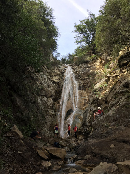 San Ysidro Falls in early March.