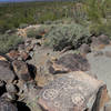 Petroglyphs at Signal Hill Saguaro National Park