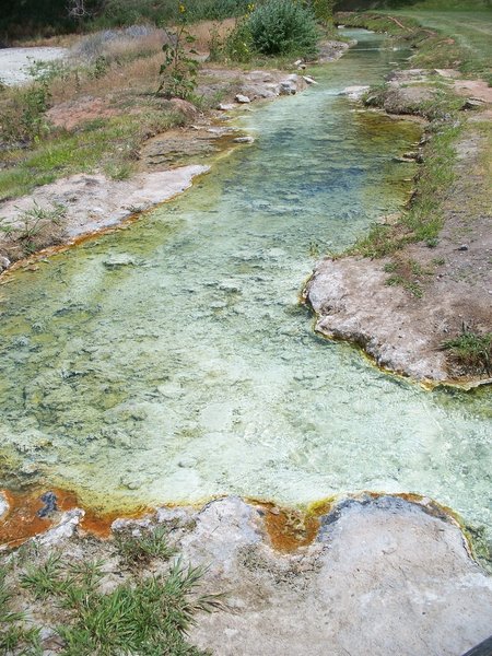 Vivid colors in the main hot spring stream