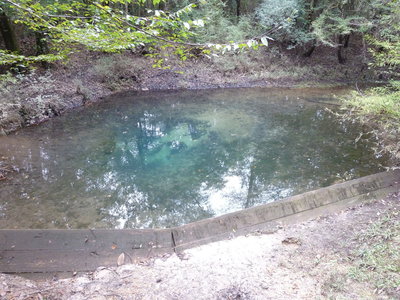 Blue Spring Loop Hiking Trail, Andalusia, Alabama